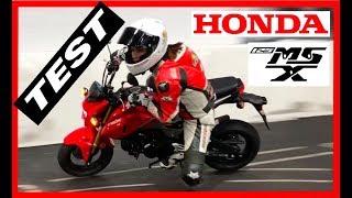 Prueba Salvaje Honda 125 MSX [upl. by Yregerg]