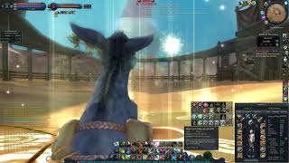 Aion Classic Assassin vs Executor Azkel [upl. by Trabue]