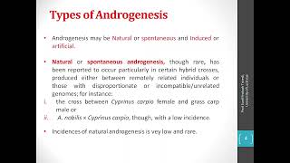 Androgenesis [upl. by Maxantia]