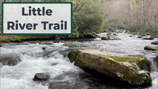 Little River Trail in Elkmont 💦 💦 [upl. by Haleak584]