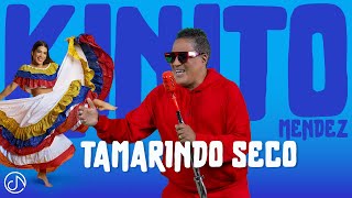 Tamarindo SECO 🪇 KINITOMENDEZOFFICIAL 🤩 Video Oficial [upl. by Nikal]