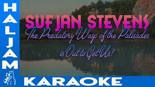 Sufjan Stevens  The Predatory Wasp of the Palisades is Out to Get Us karaoke [upl. by Haidedej]