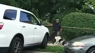 Video captures dog attack near Detroit school [upl. by Yruoc]