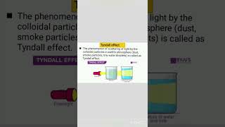 what is tyndall effectclass9science trending shortvideo education viral [upl. by Oikim]