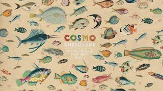 Cosmo Sheldrake  Linger Longer Instrumental [upl. by Wolsniw309]