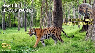 Kabini Forest Safari  Nagarhole Tiger Reserve Karnataka [upl. by Adi]