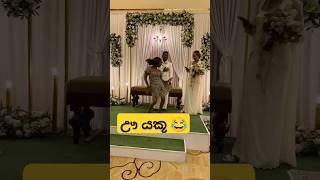 මනමාලයත් හොල්මන් ඒකට 😃😂 dance funnydance funnyshorts slmemereview funny trending weddingdance [upl. by Cully]