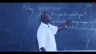 Cours  Terminale  SVT  Génétique  Introduction [upl. by Pasco]