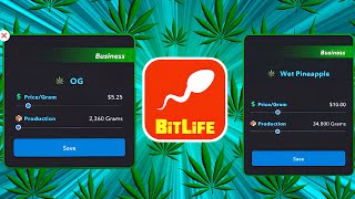 BITLIFE DEALER UPDATE [upl. by Kimmi]