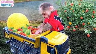 Farmer BiBi harvest fruit to make delicious juice [upl. by Clary]