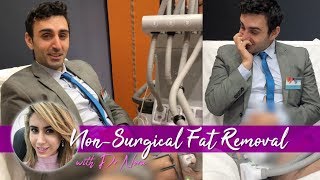 Laser Fat Melting  SculpSure Treatment Experience 🍰🔥 [upl. by Enobe]