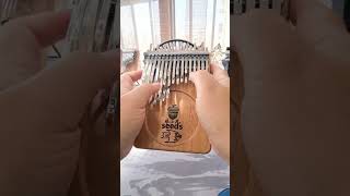 DIY seeds kalimba 41amp24 key kalimbakalimbasongsmarimbas [upl. by Suryt805]