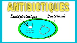 Les antibiotiques classificationpharmacologie [upl. by Lati34]