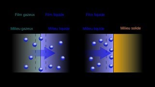 Absorption vs Adsorption 【4K】 [upl. by Anaeco]