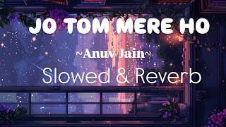 Anuv Jain  Jo tum mere ho slowed and reverb [upl. by Nnayd]