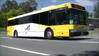 Gold Coast Bus Spotting  Route 727 and School Buses [upl. by Retsbew]