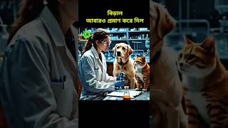 বিড়াল আবারো প্রমাণ করে দিল। cat and dog saliva under microscope islamic shorts video [upl. by Mcloughlin]