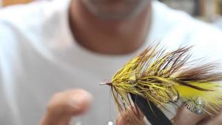 How to tie CATCHs Bug Eyed Bugger [upl. by Chuck761]