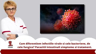 Webinar 👉 Infectie virala Infectie bacteriana Infectie fungica medatalos nursery asistente [upl. by Janus761]