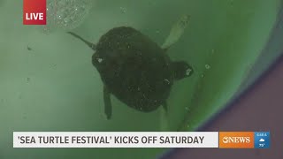 Texas Sea Life Center hosting Sea Turtle Fest and Sea Turtle Trot this Saturday [upl. by Hammel]