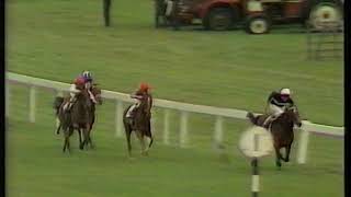 1982 Doncaster Cup Ardross  Replay [upl. by Nnylecyoj]