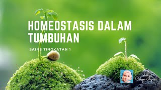 Homeostasis dalam Tumbuhan [upl. by Ainalem871]