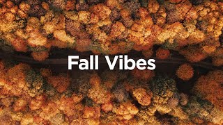 Fall Vibes 🍁 Cozy Chillout Mix for Positive Energy [upl. by Spratt775]