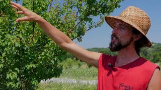 CASDAR SMART  Visite du vergermaraîcher de la ferme Brin de Terre [upl. by Valentia]