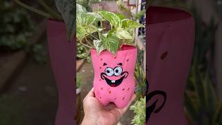 Reusing plastic bottle to make planter diyplanterideas shortsfeed youtubeshorts trending diy [upl. by Cai]