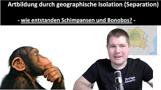 ABITRAINING  Evolution 6 Artbildung  Wie sind die Schimpansen und Bonobos entstanden [upl. by Luisa]