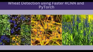 Detecting wheat heads using object detection with PyTorch and Faster RCNN [upl. by Nnaira36]