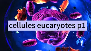 organisation générale de la cellule  cellule eucaryotes partie 1 شرح بالعربي [upl. by Ydak]