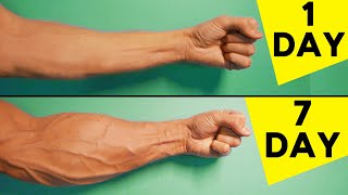 5 Best Exercises For Forearms  Home Workout [upl. by Amsab164]