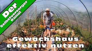 Gewaechshaus effektiv nutzen [upl. by Gauntlett760]