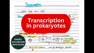 Transcription in prokaryotes  Initiation Elongation Termination  Rho dependent and independent [upl. by Mikeb249]