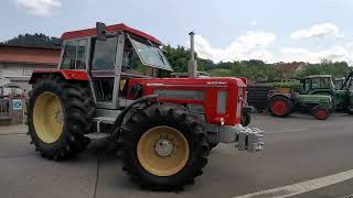 SCHLÜTER TVL 2000 SPEZIAL Schleppertreffen LindenfelsSchlierbach Odenwald 2024 [upl. by Duile718]