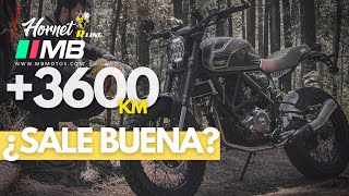 🤨 ASÍ LAS COSAS Hornet 250 MB 🏍️ tras 6 meses  3600km de USO ¿Vale la pena  Jaddhartha [upl. by Hazeghi]