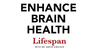 The Science of Keeping the Brain Healthy  Lifespan with Dr David Sinclair 7 [upl. by Birkett]