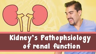 Kidneys Pathophysiology of renal function [upl. by Callida]