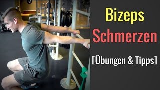 Schmerzen in der Bizepssehne unterer Teil  Schmerzen bei BizepsCurls │Mischa Kotlyar [upl. by Irret]