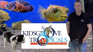 Kidsgrove Tropicals and Water Garden Centre TOUR around [upl. by Yonina237]