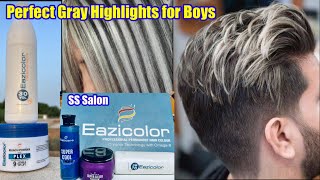 Gray Highlights For Boys How to Make Ash Gray Colour Gray Highlights on Black Hair highlights [upl. by Une]