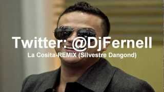 La Cosita RemixSilvestre Dangond RemixDj Fernell [upl. by Forrer]