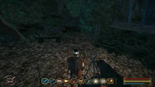 Gothic 3 Forsaken Gods  HD  Walkthrough  nr18  Off to Trelis [upl. by Sitoiyanap]