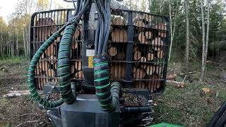 John Deere 1010G forwarding pine pulpwood [upl. by Ecydnarb]