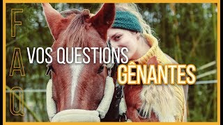 Vos questions gênantes quel cheval voler à une youtubeuse le prix de mes poneys [upl. by Hakim]