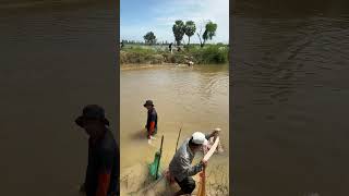 Fishing Real Life Amazing Fishing At Countryside water fishing fishingworld shorts [upl. by Namolos]