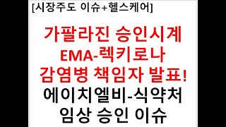 시장주도 이슈헬스케어가팔라진 승인시계 EMA렉키로나 감염병 책임자 발표에이치엘비식약처임상 승인 이슈 [upl. by Ylra]