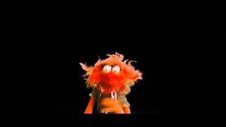 The Muppets Online Animal [upl. by Izmar]