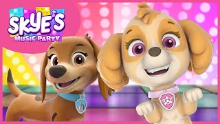 Pup Boogie Dance Party  Skyes Music Party  PAW Patrol Music Video [upl. by Neeven]